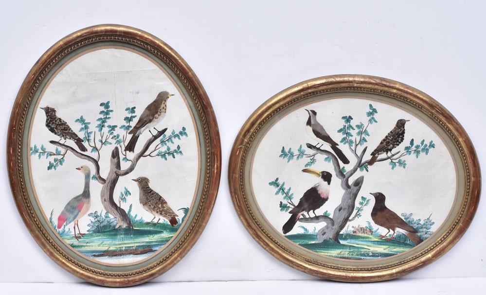 Bird Feather Watercolors (2) (1 of 4)