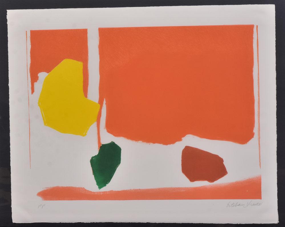 Esteban Vincente (1 of 1)