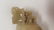 Chinese Carved Jade Cup - 11