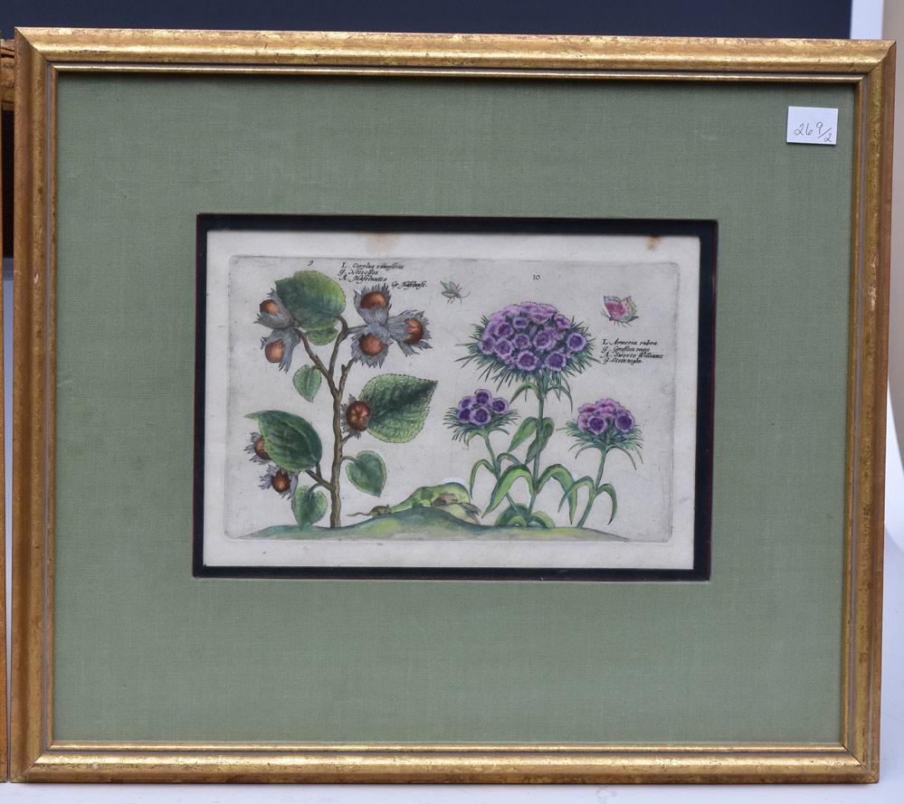 Crispin Van De Passe (2) (1 of 2)