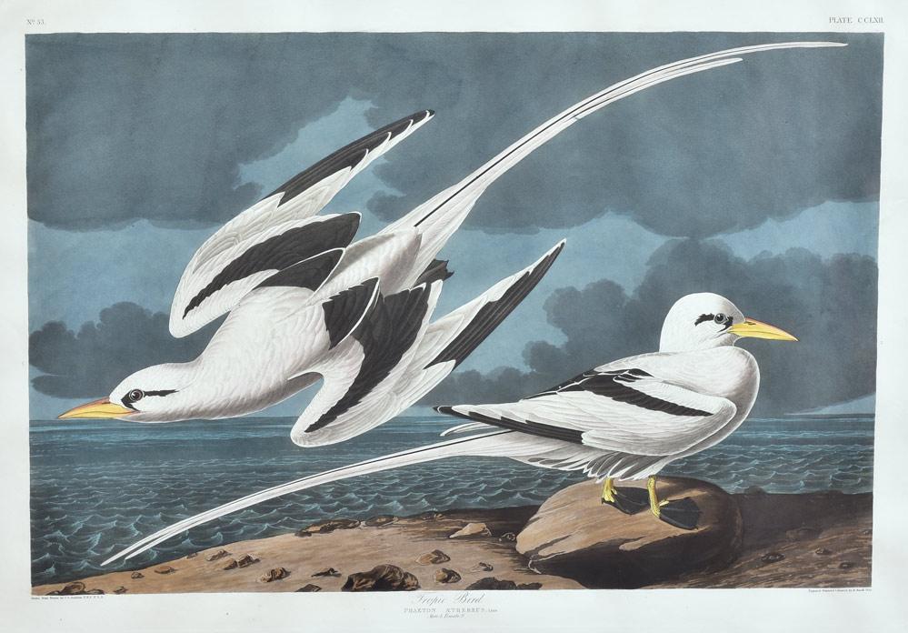 John James Audubon (1 of 5)