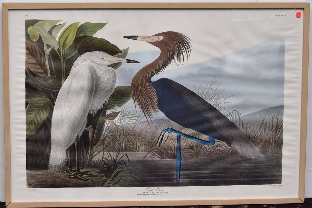 after John James Audubon (1 of 1)