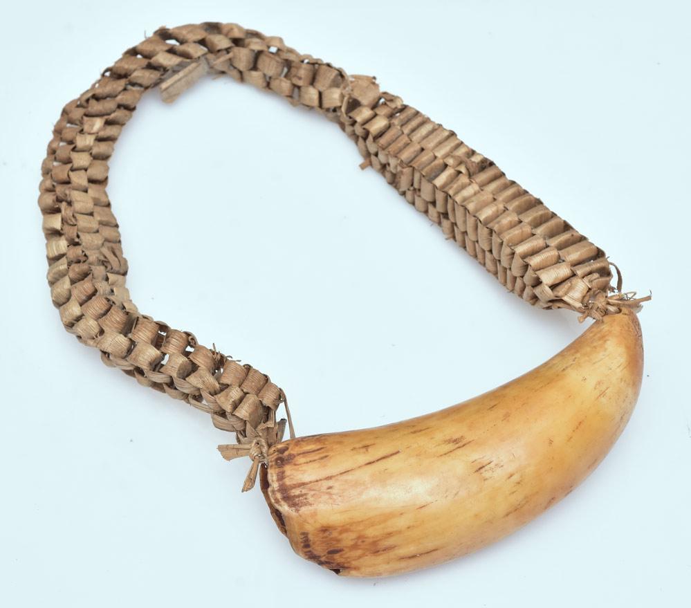 Fiji Whale Tooth Necklace: 6" Sperm whale tooth with rich honey patina strung to a woven necklace 19th century