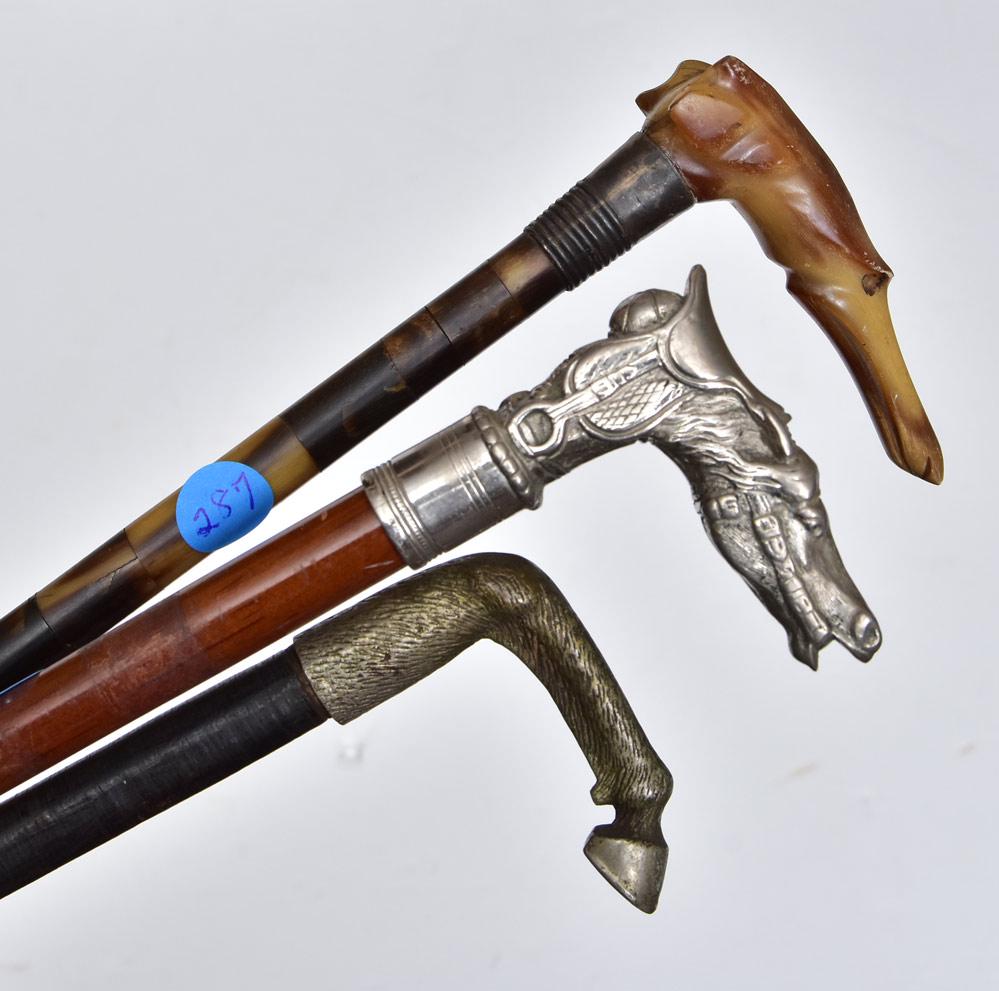 Three Walking Sticks (1 of 2)