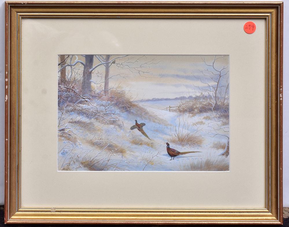 American School (1 of 1)