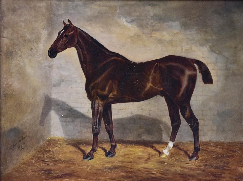 Benjamin Cam Norton (1 of 5)