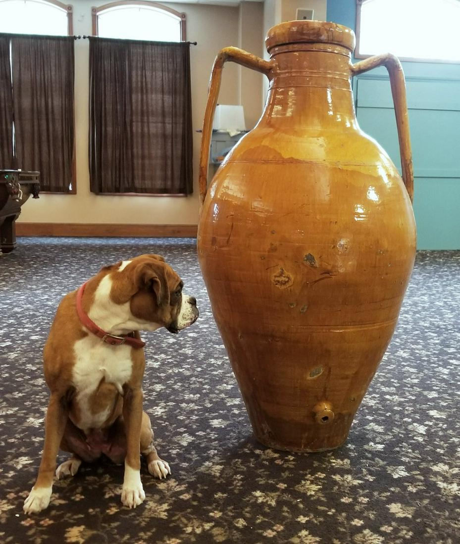 Large French Glazed Pottery Dispenser (1 of 4)