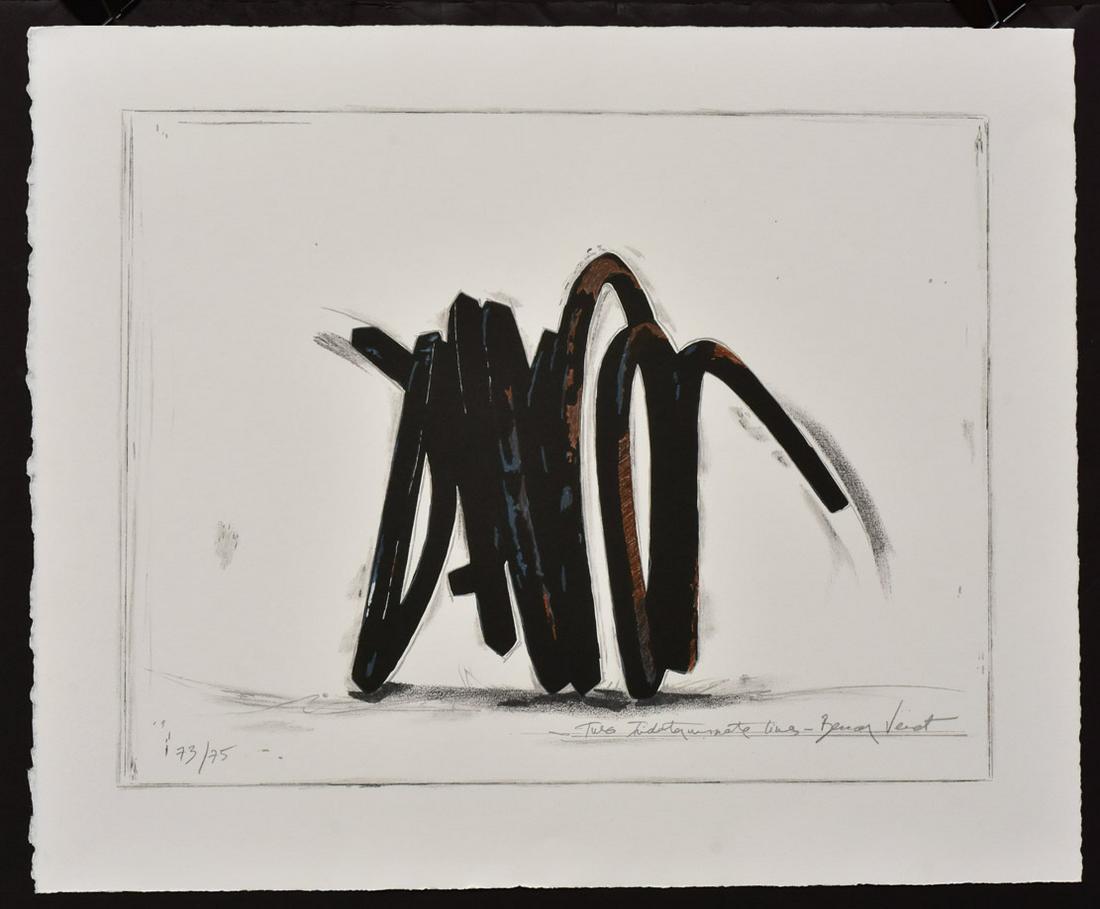 Bernar Venet (1 of 2)