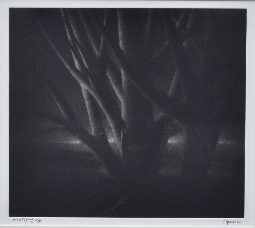 Robert Kipniss Mezzotint (1 of 10)