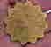 item-102384118=3