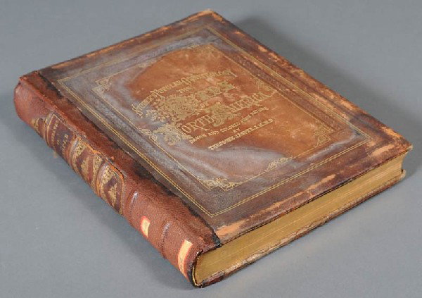 STUDER'S POPULAR ORNITHOLOGY The Birds of North Ame: STUDER'S POPULAR ORNITHOLOGY The Birds of North America Theodore Jasper, 1881 15"x 12" with 119 chromolithos