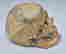 item-121684520=2
