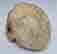 item-121684520=3
