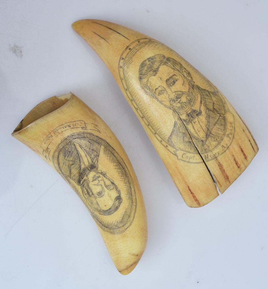 Scrimshaw Sperm Whale Tooth (2): Ship Captain's Portraits and their ships Capt Henry A. Pease, Whaling Bark "Cambria and Capt Nathaniel Palmer, "Roscous" 4 1/2" and 5 1/2"