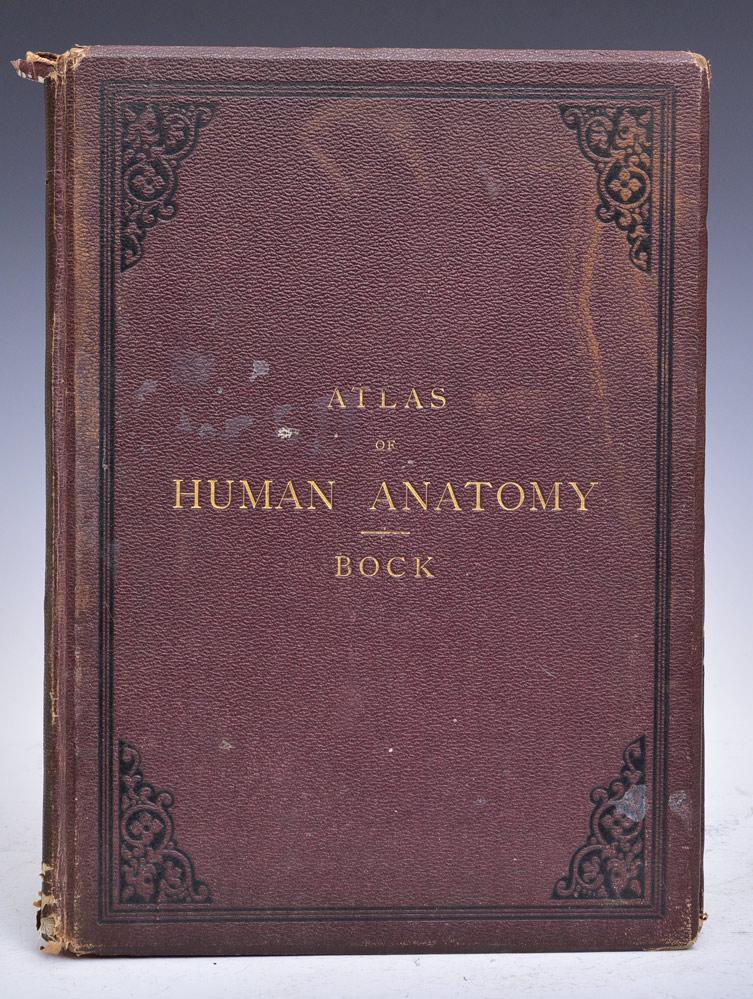 Bock's Atlas of Human Anatomy: by Professor Dr. C.E. Bock with thirty-eight coloured plates, William Wood & Co, NY, 1879 15" x 11"
