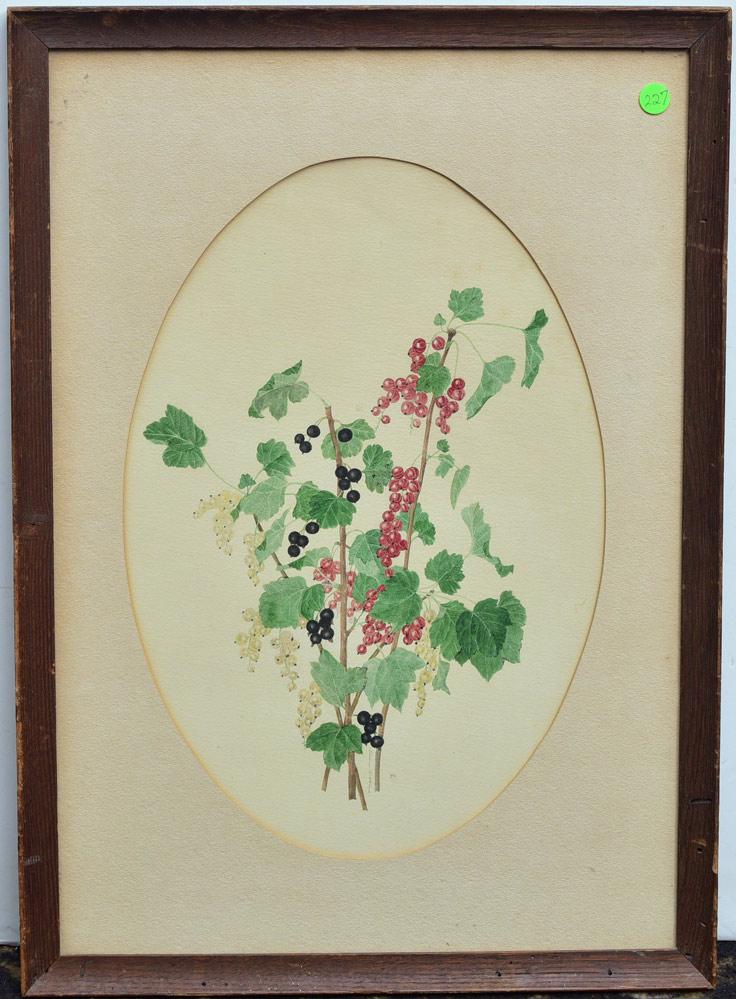 Ellen Robbins (1 of 2)