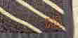 item-134827923=7