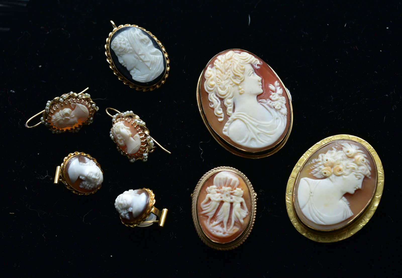 Group of Cameo Brooches and Earrings (1 of 1)