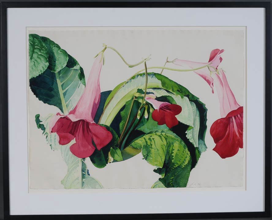 Richard Lytle: Primrose 22" X 30" watercolor signed lower right estimate 300/500 buyer is responsible for arranging 3rd party shipping