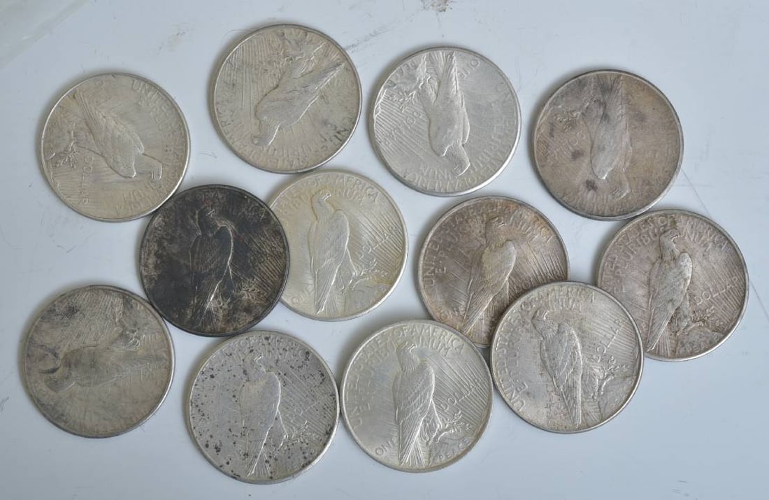 Twelve American Silver Peace Dollars (1 of 1)