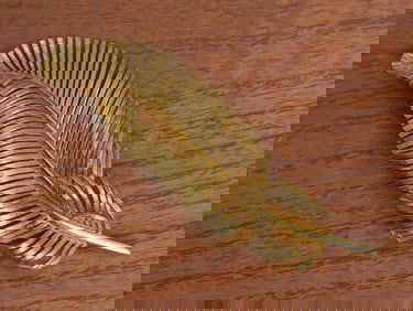 Tiffany & Co 14k Gold Feather Brooch