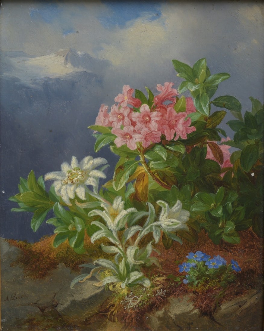 Andreas Lach (Austrian, 1817-1882) Alpine Flowers: Andreas Lach (Austrian, 1817-1882) Alpine Flowers 10 1/2" x 8 1/2" oil on board, framed to 22"x20" with flower names verso in Latin signed lower left IN HOUSE SHIPPING W/I continental USA $65 DURING C