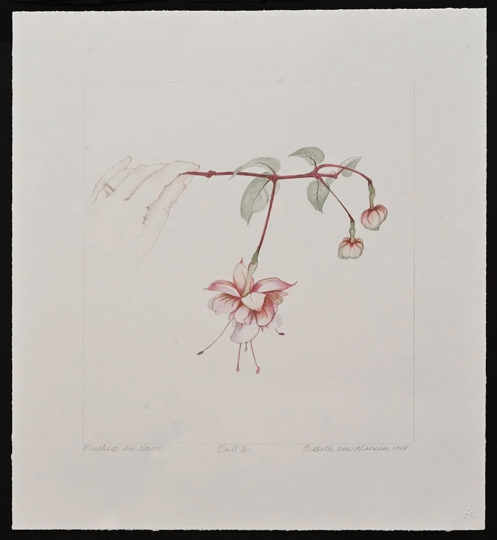 Beth Van Hoesen (1926–2010), Fuchsia in Hand, 1988: Beth Van Hoesen (1926–2010), Fuchsia in Hand, 1988 Lithograph Image size: 12 5/8 x 11 1/2 inches; Sheet size: 18 1/8 x 16 1/2 inches unframed IN HOUSE SHIPPING W/I continental USA $35 DURING CHECKOU