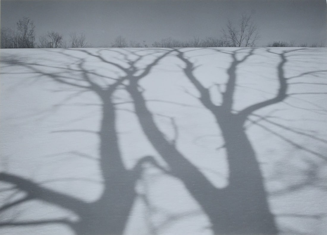 MARK CITRET (born 1949) Photograph, Shadows (1 of 3)