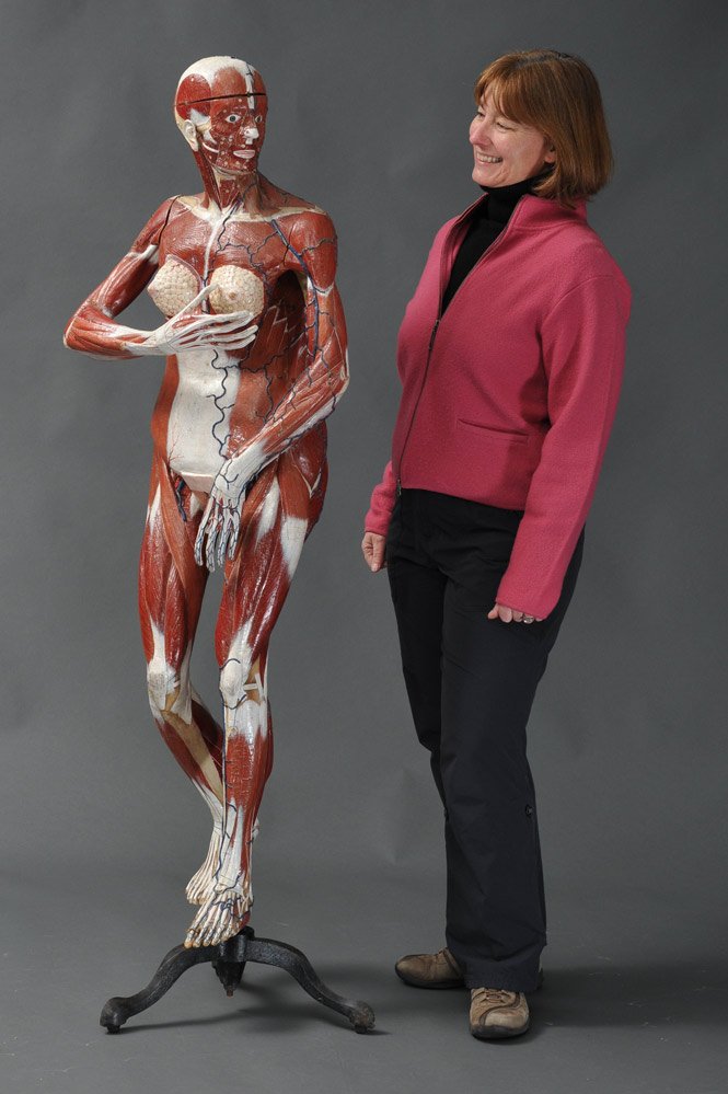 Louis Thomas Jérôme Auzoux (1797–1880): Rare Full-Size Female Anatomical Figure retains the organs and brain, has detachable skull cap, breast plate and arms 61 1/4" high (with stand) estimate 8000/12,000 Buyer is responsible for arranging