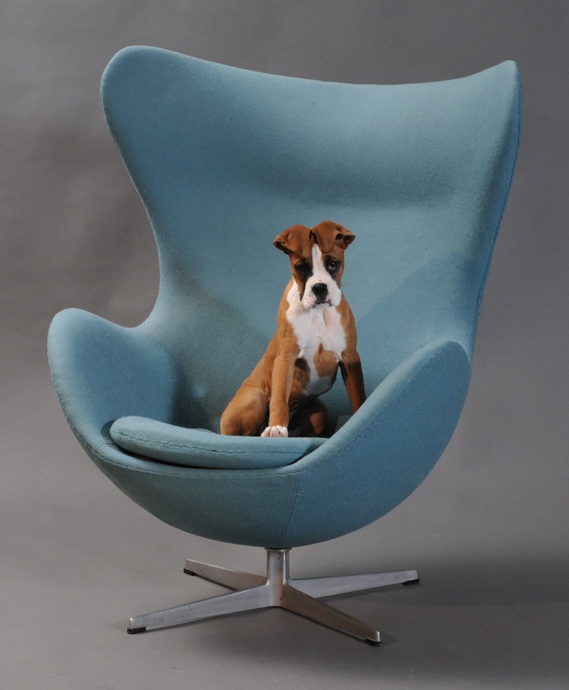 Arne Jacobsen: for Fritz Hansen Egg Lounge Chair 41 3/4" high with matching ottoman circa 1965