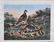 Currier & Ives Lithograph