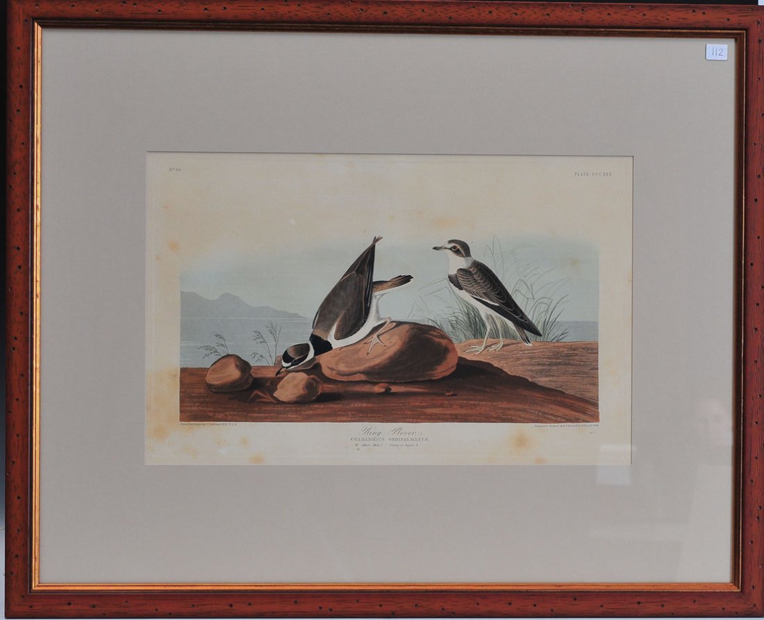 John Jay Audubon (1 of 4)