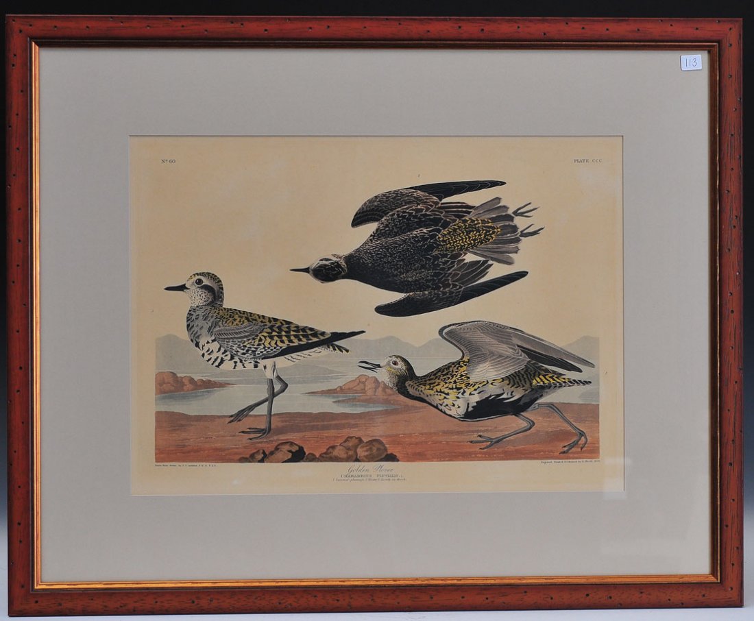 John Jay Audubon (1 of 4)