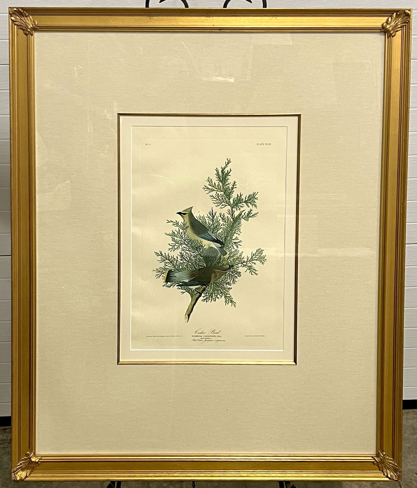 Large Gold Framed Male & Female Eastern Red Cedar Birds (1 of 5)