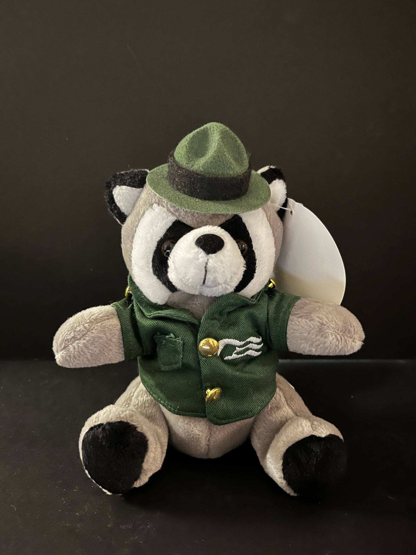 Princess Cruises "Beany Collection" Raccon Ranger: "Princess Cruises ""Beany Collection"" Raccon Ranger " 7H
