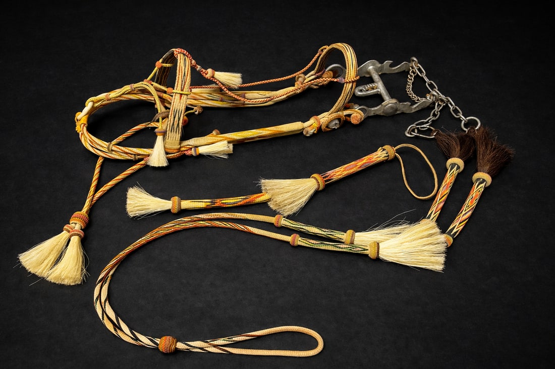 Braided Horsehair Bridle & Reins with Decorative Metal Bit (1 of 3)