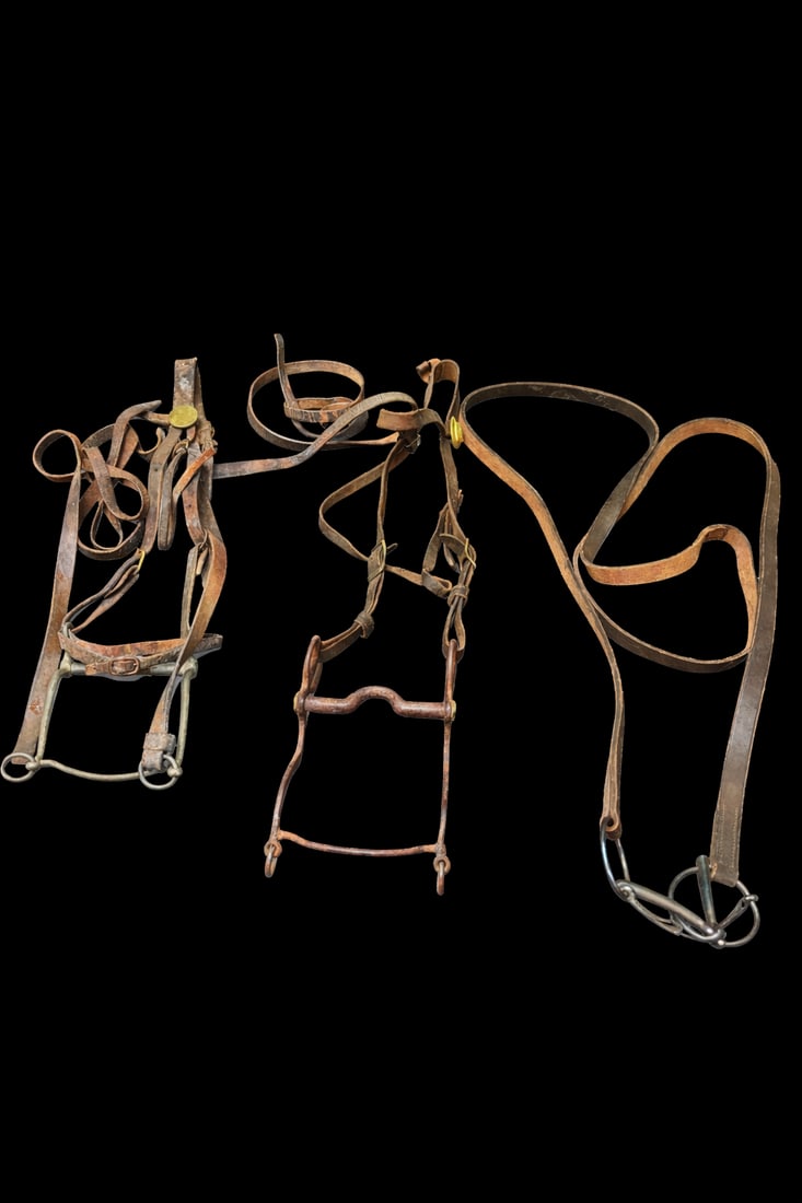 Pair of U.S. Army-Marked Cavalry Bits with Attached Leather Reins, Early 20th C. (1 of 8)