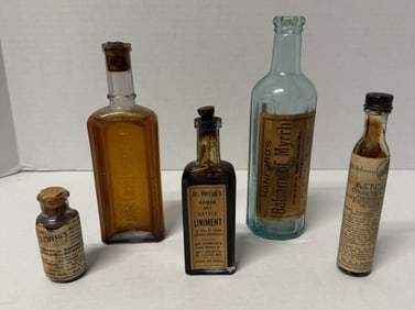 Early Veterinary Liniment Bottle Lot (5) – Standard Stock Embossed Amber, Hanford’s Balsam of (1 of 9)