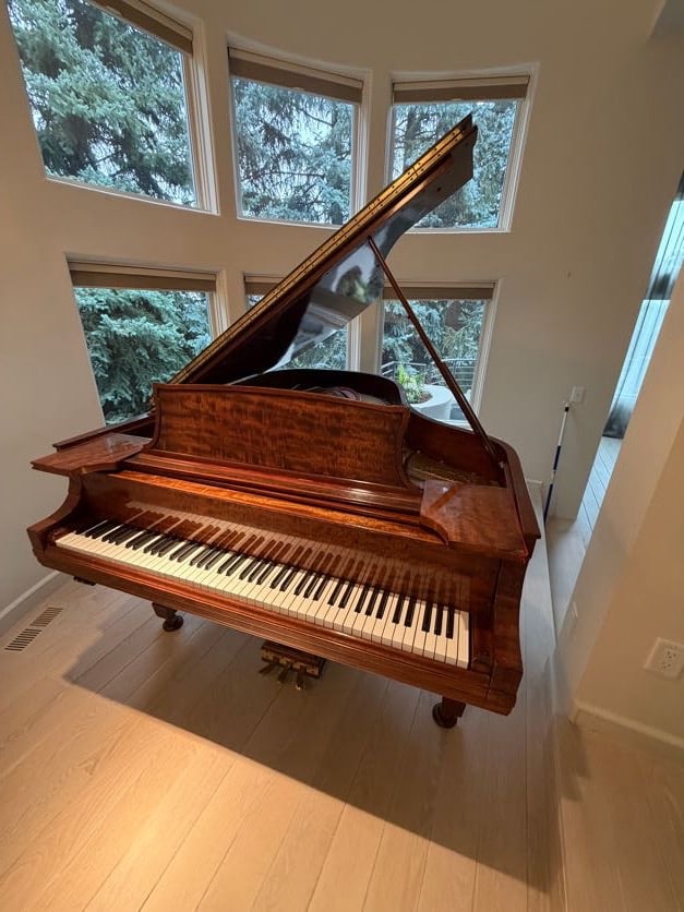 1917 Steinway & Sons Grand Piano (1 of 20)