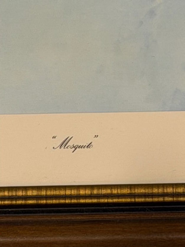 Robert Taylor “Mosquito” - 3