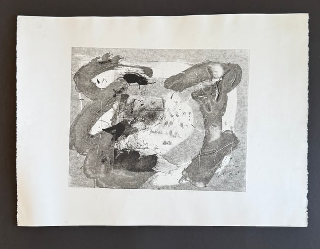 Diane Cooper Abstract Etching Print on Arches Paper Contemporary Black & White Ink Artwork (1 of 1)