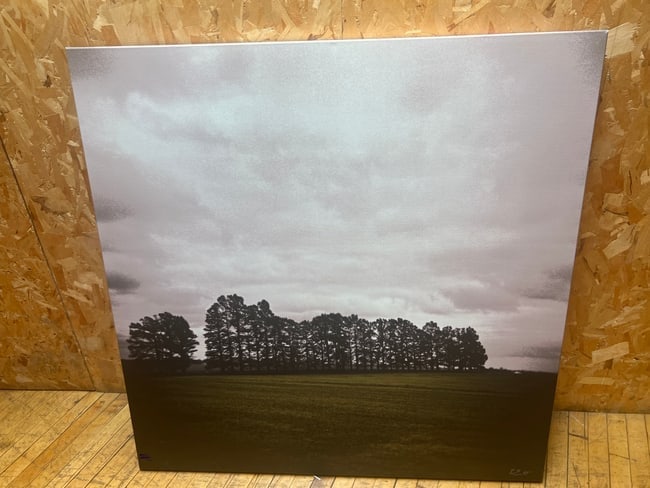 Black & White Landscape Canvas Print Dramatic Trees & Sky: A powerful black and white photographic canvas print depicting a striking row of trees silhouetted against a textured, cloud-filled sky. The large-scale composition emphasizes dramatic contrast and mo