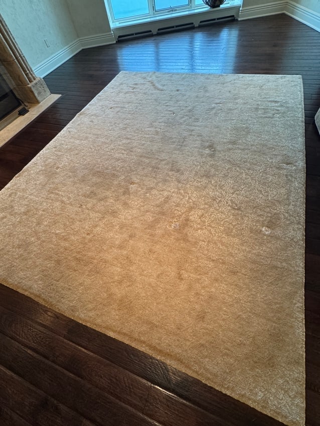 Neutral Beige Handwoven Area Rug, Subtle Pattern: A neutral beige handwoven area rug with a subtle raised pattern, offering a warm and versatile foundation for any living or dining space. Measuring approximately 9 ft x 11.5 ft (110 in x 138 in), this