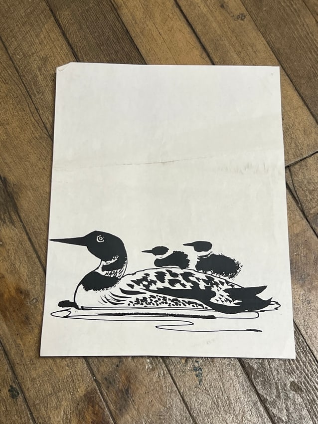 Vintage Black & White Loon with Chicks Illustration Nature Wildlife Print: Striking black-and-white illustration of a loon swimming with two chicks on its back. A clean, minimalist line art style, evocative of mid-century wildlife and conservation prints. Printed on thin pap