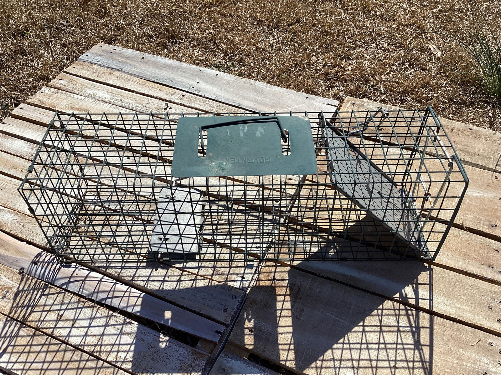 Live Animal Trap (1 of 3)