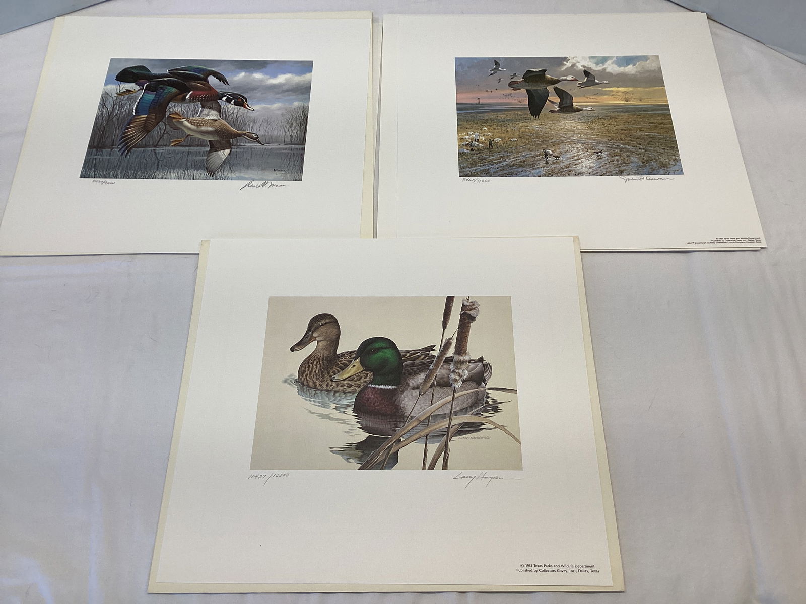 1981, 1984, and 1985 Texas Duck Stamps and Prints (1 of 20)