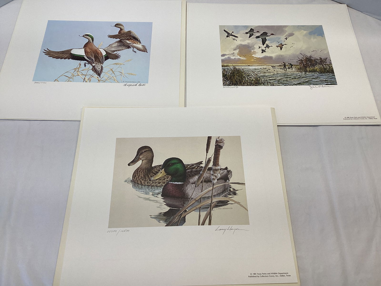 1981, 1983, and 1988 Texas Duck Stamps and Prints (1 of 20)