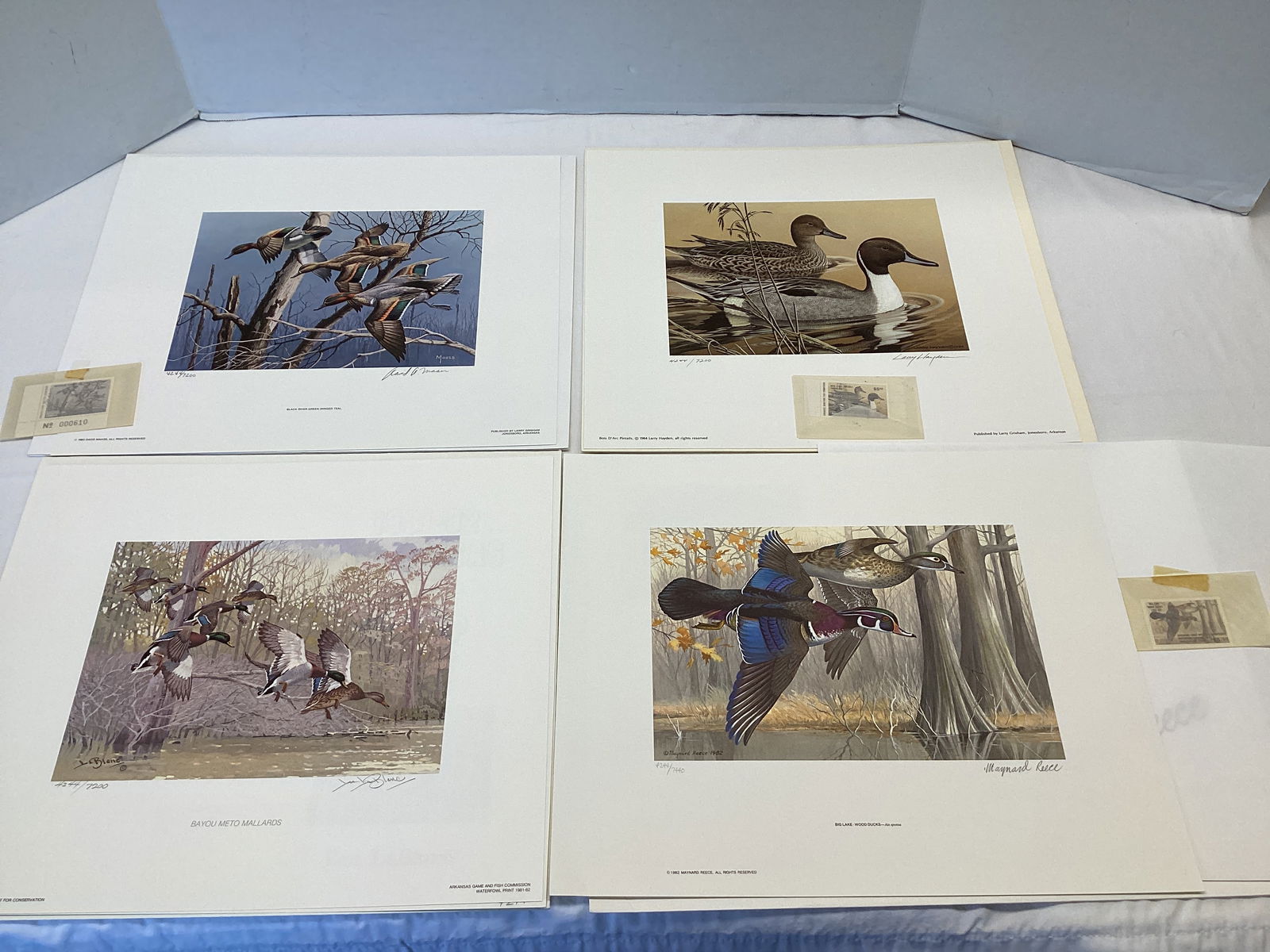 1981-1984 Arkansas Duck Stamps and Prints (1 of 20)