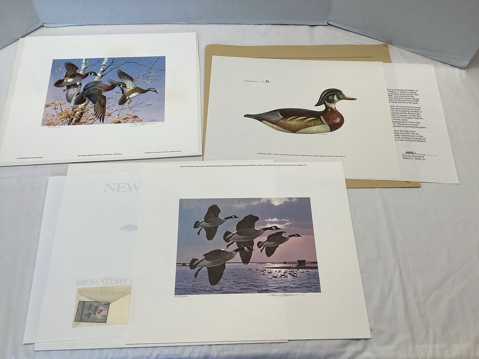 Massachusetts, Vermont, and New York Duck Stamps and Prints: New York 1985 - 14" x 12", 5553/14040, Canada Geese, signed by Larry Barton; Vermont 1986 - 14" x 12", 5643/13910, Wood Ducks, signed by Jim Killen; Massachusetts 1974 - 14" x 11", 93/600, unsigned