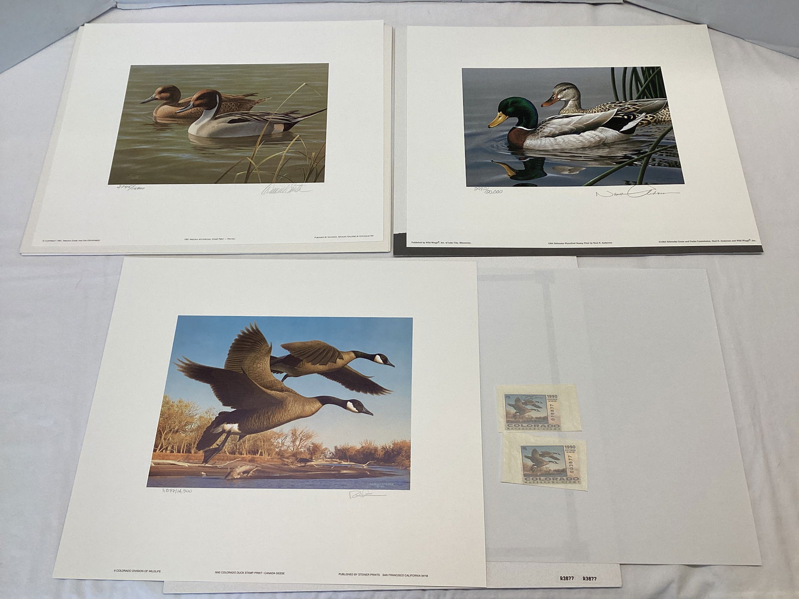 Nebraska, Arizona, and Colorado Duck Stamps and Prints (1 of 20)